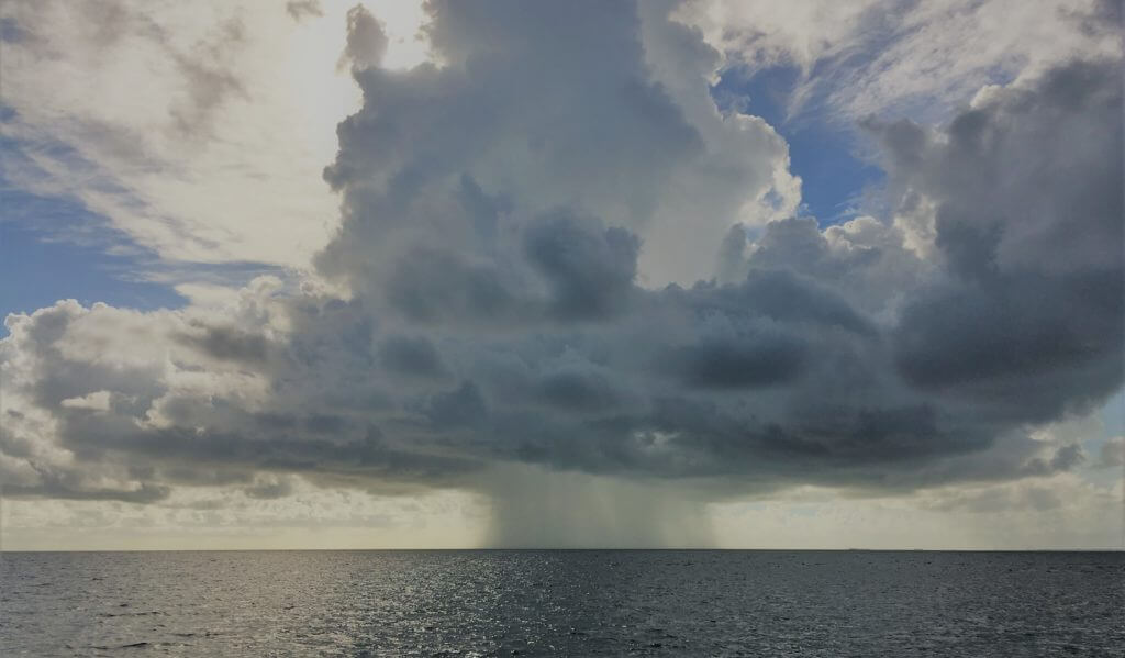 The storm and how clients stay calm when investing.