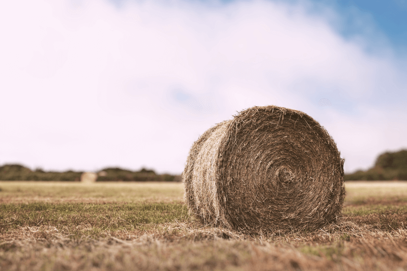 Find The Millionaire Next Door